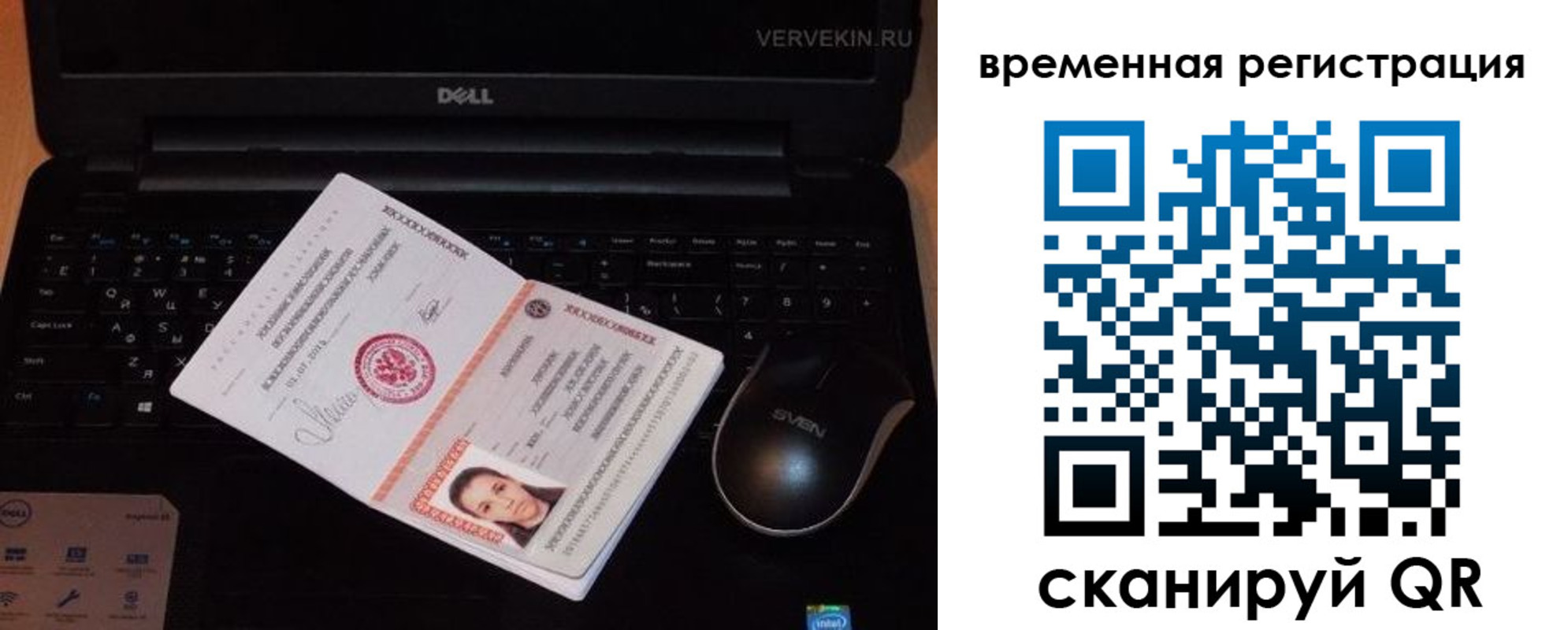 прописка в Ефремове